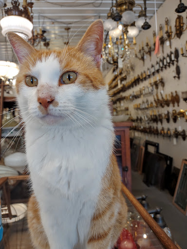 Antique Store «Architectural Antiques Of Indianapolis», reviews and photos, 5000 West 96th Street, Indianapolis, IN 46268, USA