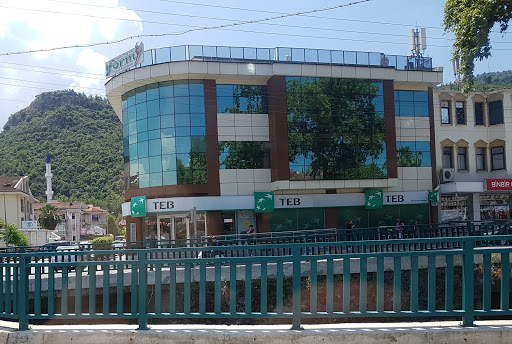 Teb Fethiye Likya Şubesi