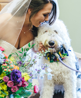 Florist «Ambience Floral Design & Gifts», reviews and photos, 1249 Pleasant Grove Blvd #100, Roseville, CA 95678, USA