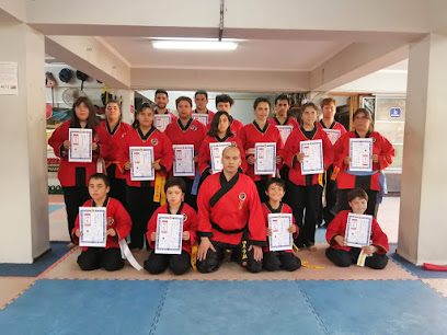 shaolin chan central parral