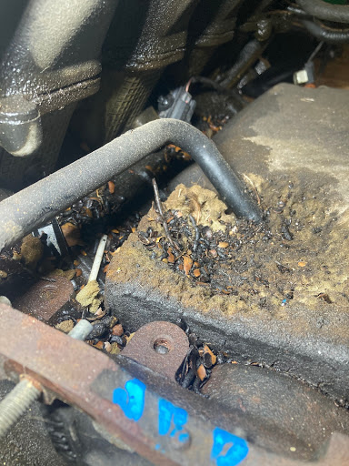 Auto Parts Store «Junk Yard Dogs Auto Parts», reviews and photos, 9517 New Laredo Hwy, San Antonio, TX 78211, USA