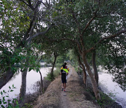 Mangrove Fishing photo