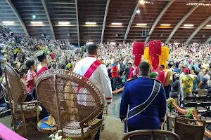 Merrie Monarch Festival image