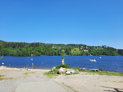 Titisee Strand'in fotoğrafı - rahatlamayı sevenler arasında popüler bir yer