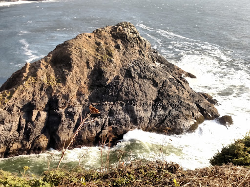 Tourist Attraction «Heceta Head Lighthouse», reviews and photos, 725 Summer St, Florence, OR 97439, USA