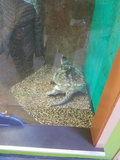 Zoo «Lake Superior Zoo», reviews and photos, 7210 Fremont St, Duluth, MN 55807, USA