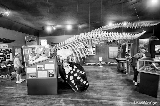 Museum «The Whale Museum», reviews and photos, 62 1st St, Friday Harbor, WA 98250, USA