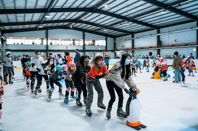 桃园滑冰运动世界