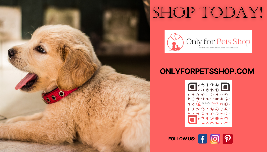 Only For Pets Shop