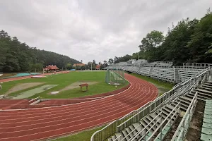 Forest Stadium image