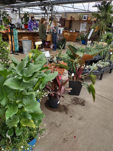 Plant Nursery «Blooming Acres», reviews and photos, 7561 State Rd, Wadsworth, OH 44281, USA