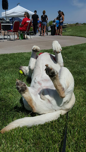 Recreation Center «Anthem Center Sun City Anthem», reviews and photos, 2450 Hampton Rd, Henderson, NV 89052, USA