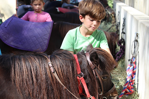 Assocation SAINT ESTEVE EQUITATION à Saint-Estève