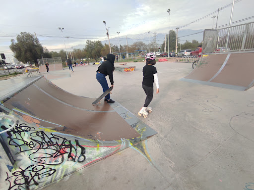 Skate Park Marathon