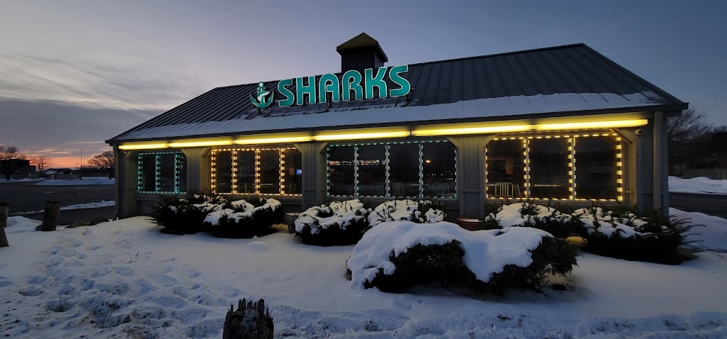 Sharks fish and Chicken 46323