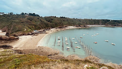 Foto von Plage D'or befindet sich in natürlicher umgebung