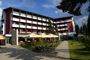 Hotel Carpați image