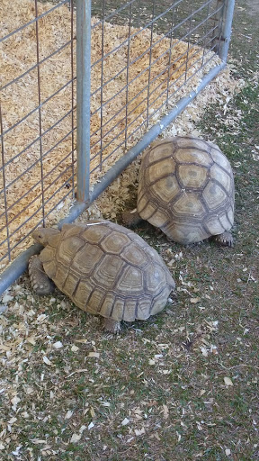 Tourist Attraction «Myrtle Beach Speedway», reviews and photos, 455 Hospitality Ln, Myrtle Beach, SC 29579, USA