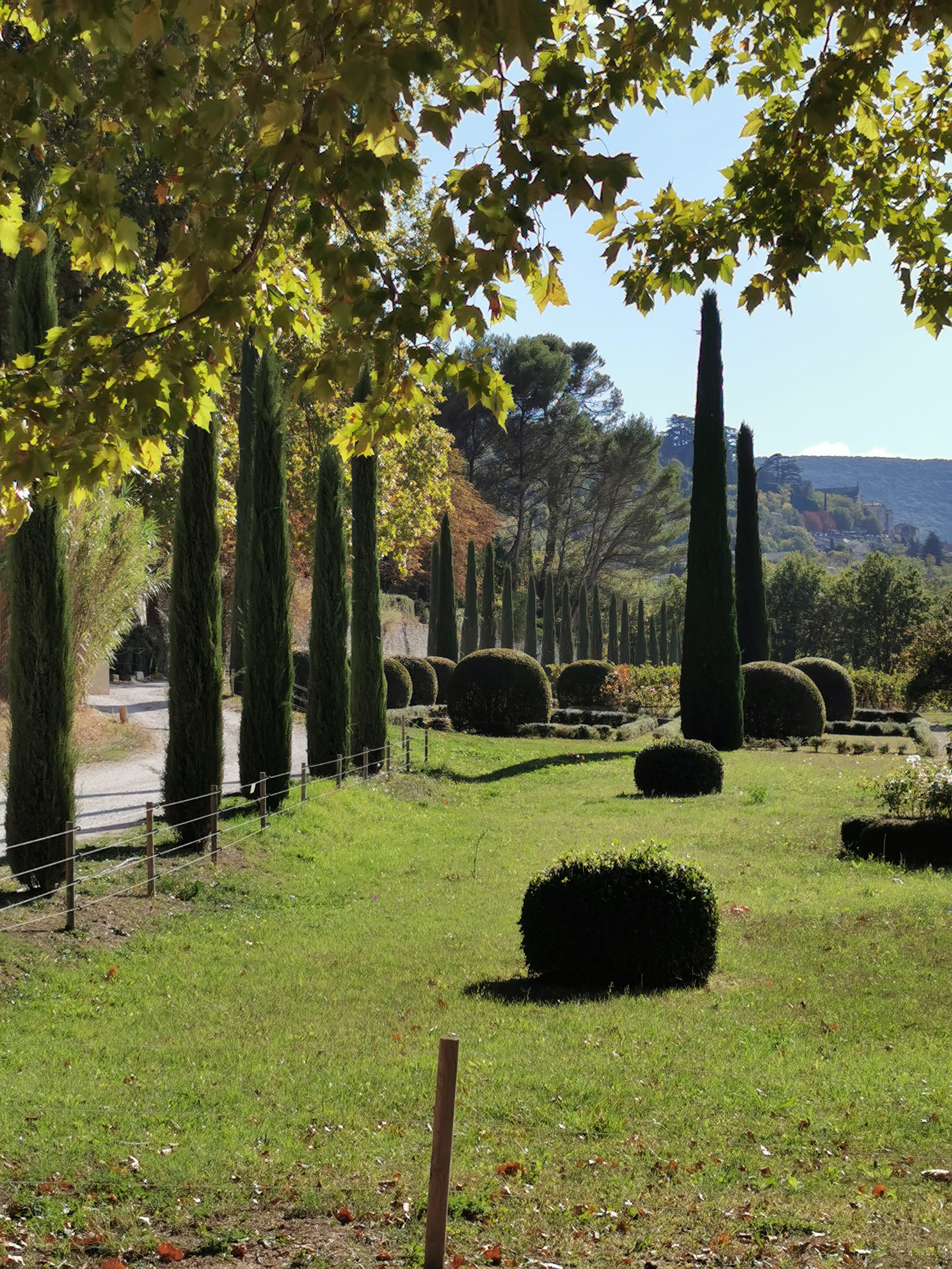 Photo n° 13 de l'avis de Ármin.� fait le 10/10/2022 à 17:40