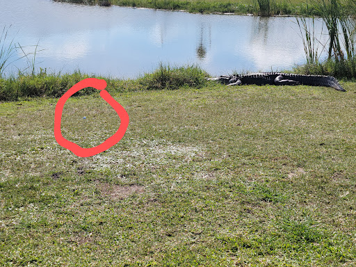 Country Club «Cocoa Beach Country Club», reviews and photos, 5000 Tom Warriner Blvd, Cocoa Beach, FL 32931, USA