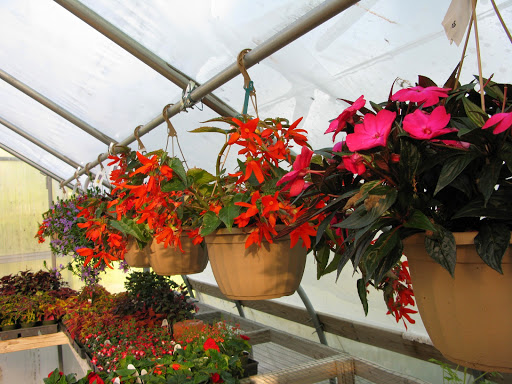 Garden Center «Victoria Gardens», reviews and photos, 1 Cottekill Rd, Rosendale, NY 12472, USA