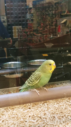 Pet Supply Store «PetSmart», reviews and photos, 26680 Centerview Dr, Millsboro, DE 19966, USA