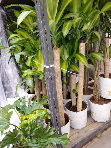 Home Improvement Store «The Home Depot», reviews and photos, 1771 N 19th Ave, Bozeman, MT 59718, USA