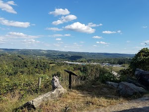 White Park - photo 4