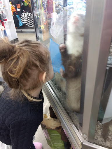 Pet Supply Store «Petco Animal Supplies», reviews and photos, 6025 Kruse Dr #159, Solon, OH 44139, USA