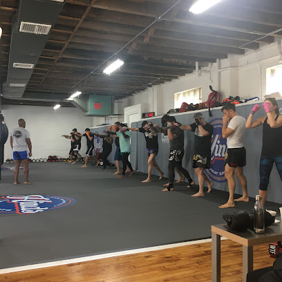 Hinds Combat Sports - 44-16 23rd St, Queens, NY 11101