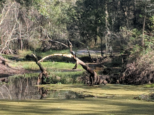 Nature Preserve «Gator Creek Reserve», reviews and photos, 9725 US Hwy 98 N, Lakeland, FL 33809, USA