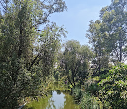 Duck Park photo