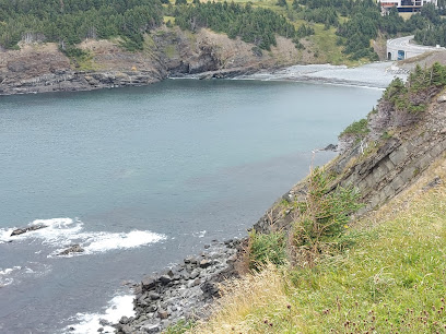 Outer Cove Lookout