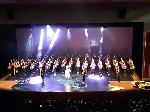 Performing Arts Theater «Carl J. Murphy Fine Arts Center», reviews and photos, 2201 Argonne Dr, Baltimore, MD 21218, USA