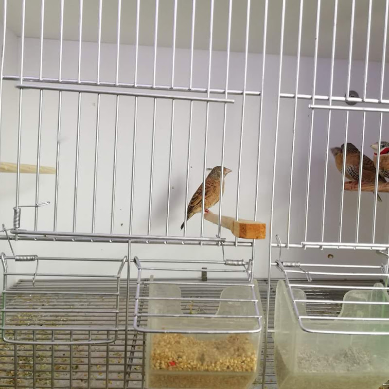 3 image