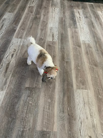 PuBeRRR - Photo 9 - Car repair in , North Las Vegas