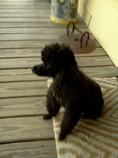 Chrysler Dealer «Chrysler of Lawrenceburg», reviews and photos, 1181 Bypass S, Lawrenceburg, KY 40342, USA