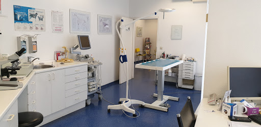 Gerd Kühn veterinarian unter Brühl, Baden Württemberg
