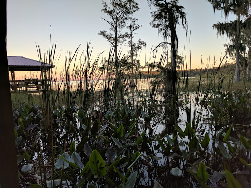 RV Storage Facility «U-Haul Storage of Leesburg», reviews and photos, 29008 US-27, Leesburg, FL 34748, USA