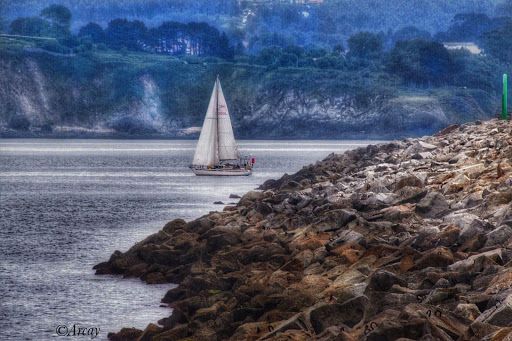 Park «Volunteer Park», reviews and photos, 1247 15th Ave E, Seattle, WA 98112, USA