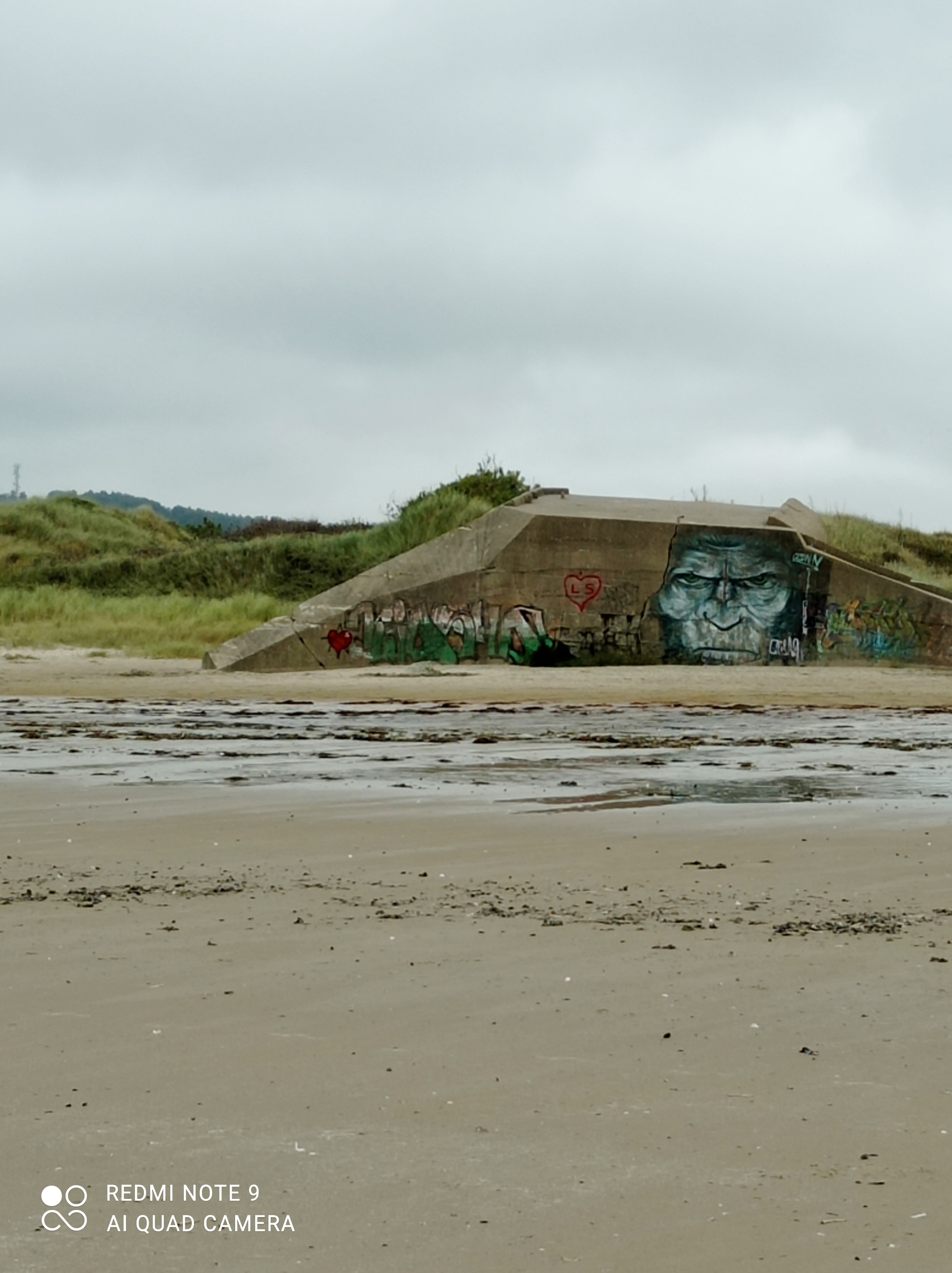 Photo n° 1 de l'avis de Michael.u fait le 15/08/2021 à 18:06