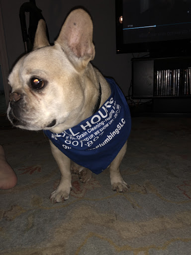 Plumber «All Hours Plumbing SLC», reviews and photos, 77 200 S #126, Salt Lake City, UT 84101, USA