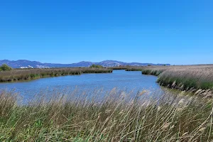 Aiguamolls de l'Empordà image