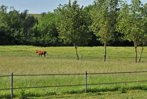 La Voie des champs à Auterive