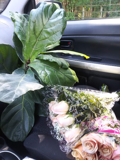 Florist «Flowerama Kettering Ohio», reviews and photos, 3000 Shroyer Rd, Kettering, OH 45429, USA