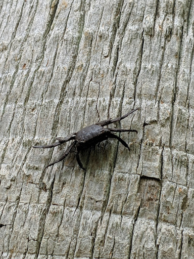 Park «Hammock Park», reviews and photos, 1945 San Mateo Dr, Dunedin, FL 34698, USA