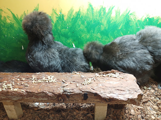 Aquarium «SeaQuest Interactive Aquarium», reviews and photos, 1201 N Hill Field Rd #1072, Layton, UT 84041, USA