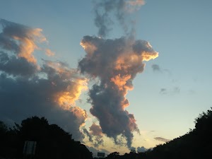 Kiwanis Park - photo 16