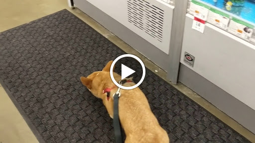 Pet Supply Store «Pet Supplies Plus», reviews and photos, 1155 Washington Pike, Bridgeville, PA 15017, USA