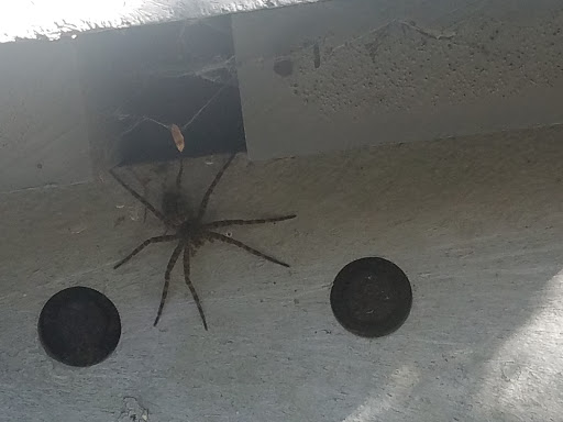 Nature Preserve «Tom S Cooperrider-Kent Bog State Nature Preserve», reviews and photos, 1028 Meloy Rd, Kent, OH 44240, USA